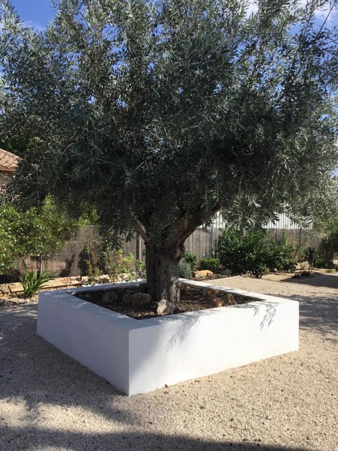 Relax En La Huerta De مرسية المظهر الخارجي الصورة